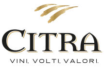 Vitra Vini
